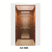 Villa Ascensor con madera y Champaign oro mate acero inoxidable (KJX-BS05)